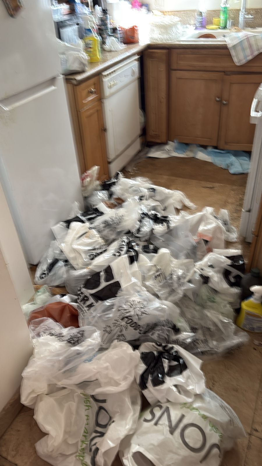 Kitchen Before (Detail)